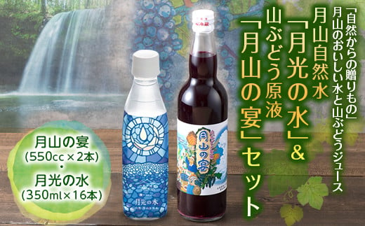 FYN9-425 月山自然水「月光の水」& 山ぶどう原液「月山の宴」詰合せ 詰め合わせ 山形県 西川町