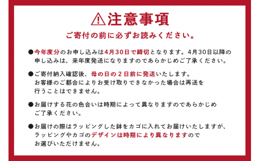 カーネーション ピンク系 母の日への贈り物 プレゼント ギフト カーネーション 花 アレンジ 鉢植え 5号 鉢 国産 花鉢 鉢花 フラワーアレンジメント 母の日ギフト フラワーギフト お祝い 母の日