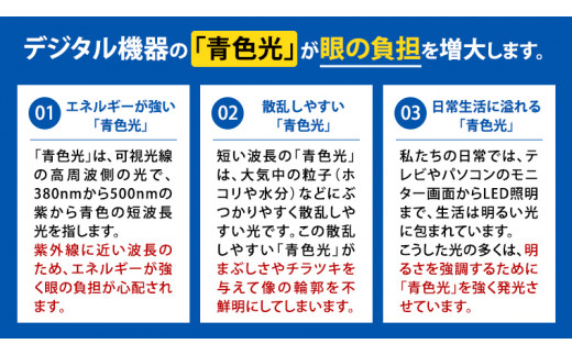 【 リアル メガネ タートル 】 REAL 永久 PANT III カラー05 度無しブルーライトカットレンズ＆老眼レンズ対応 眼鏡 めがね メガネ メガネフレーム 国産 鯖江製 鯖江 ブルーライトカット 老眼