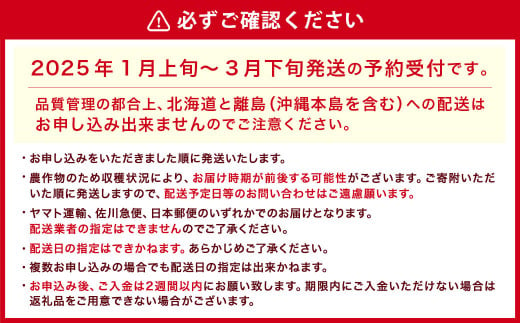 【ギフト用・特別栽培】あまおう EX 約450g×2パック【2025年1月上旬～3月下旬発送予定】