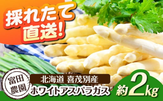  アスパラ アスパラガス ホワイトアスパラガス 季節の野菜 春野菜