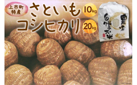 ⑲ 先行予約 コシヒカリ 20kg さといも 10kg 詰め合わせ [里山の駅 つるぎの味蔵 富山県上市町 32280019] 米 こしひかり 精米 白米 里芋 サトイモ 野菜 美味しい 特産品