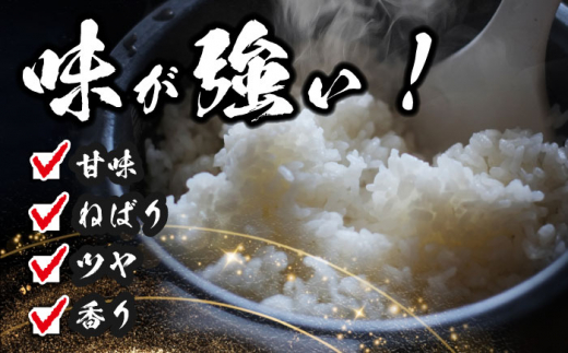 【9月発送】コシヒカリ　白米　5kg　米　お米　ご飯　愛西市/脇野コンバイン [AECP021-1]