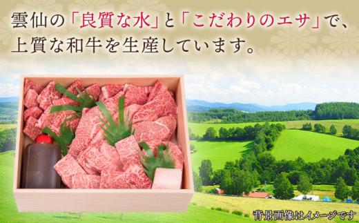 【全3回定期便】長崎和牛 長崎和牛 上焼き肉 4種 詰め合わせ セット  総計2.76kg （920g/回）【株式会社 OGAWA】 [QBI015] 牛肉 焼き肉セット 赤身 カルビ 11万6千円 116000円