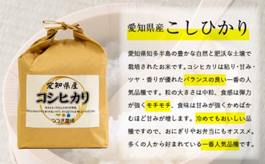 No.166 愛知県産コシヒカリ＆あいちのかおり食べ比べセット（合計6kg） ／ お米 白米 精米 こしひかり 愛知県