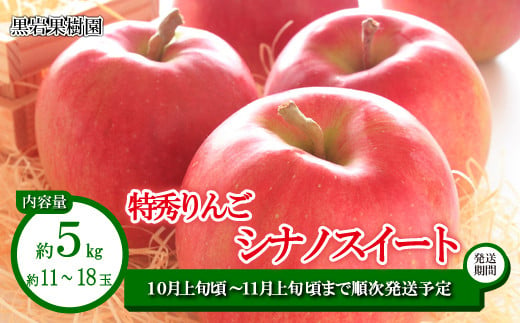 [No.5657-2675]シナノスイート 特秀りんご 約5kg (約11～18玉) 《黒岩果樹園》■2024年発送■※10月上旬頃～11月上旬頃まで順次発送予定