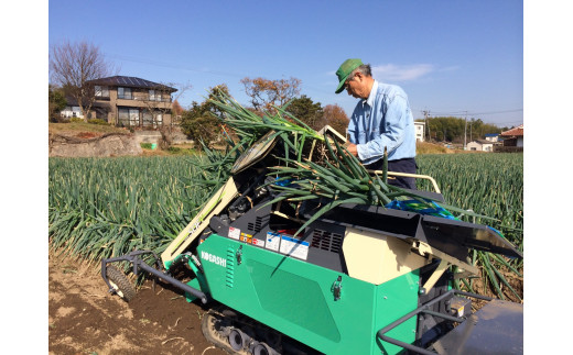 【予約商品】白ネギ 3kg 広島県産  有機栽培 【配送時期：12月上旬～1月下旬】