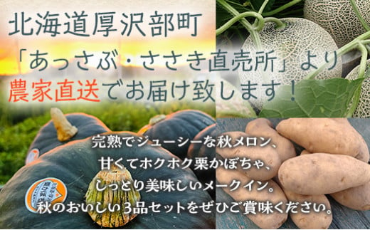 北海道厚沢部産メロン・栗かぼちゃ・メークイン詰合わせ約7.2ｋｇ ふるさと納税 人気 おすすめ ランキング メロン めろん かぼちゃ カボチャ 南瓜 栗かぼちゃ じゃがいも ジャガイモ 野菜 おいしい 北海道 厚沢部 送料無料 ASO008