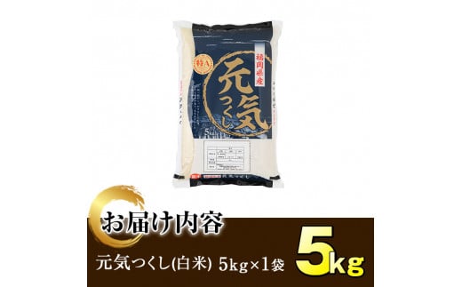 ＜令和6年産＞福岡県産ブランド米「元気つくし」白米(5kg)お米 5キロ ごはん ご飯【ksg0376】【朝ごはん本舗】