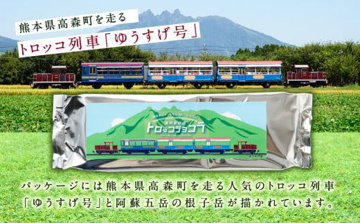 南阿蘇鉄道 トロッコショコラ 6本（約180g×6本）