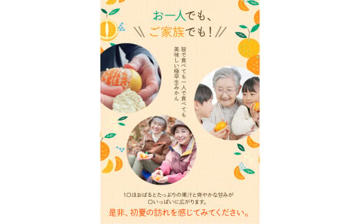 【先行予約】＼ たっぷり大容量 ／  訳あり 極早生温州みかん 6.5kg＋傷み保証分300g 2S～3Lサイズおまかせ 【2024年9月下旬から10月中旬までに順次発送致します。】 / くだもの フルーツ 果物 大容量 家庭用 人気 みかん 蜜柑 わけあり 極早生みかん ごくわせ 数量限定