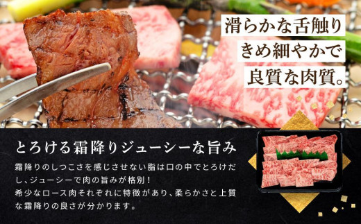 和歌山産 高級和牛『熊野牛』ロース盛合せ焼肉 約500g【EG16】