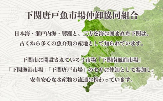 たこ 唐揚げ 600g 冷凍 小分け 関門 蛸 からあげ タコ カラアゲ 真だこ マダコ 真ダコ 下関 山口