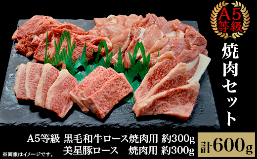 焼肉セット600g（2～3人用）A5等級 黒毛和牛ロース 約300gと美星豚ロース 約300g 岡山県産