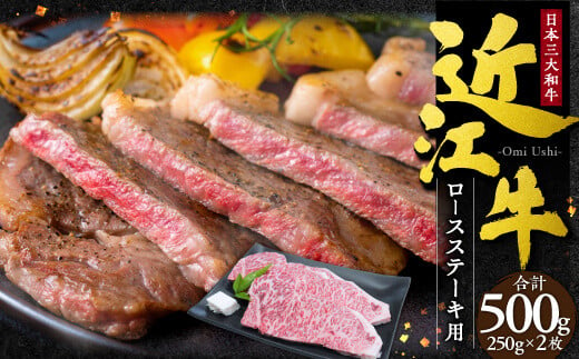 D15 近江牛 ロース ステーキ 2枚500g （250gｘ2枚） 本多商店 牛 牛肉 国産 和牛 ブランド牛 赤身 炒め物 煮物 ギフト 贈り物 高級 人気 近江 東近江市 滋賀県