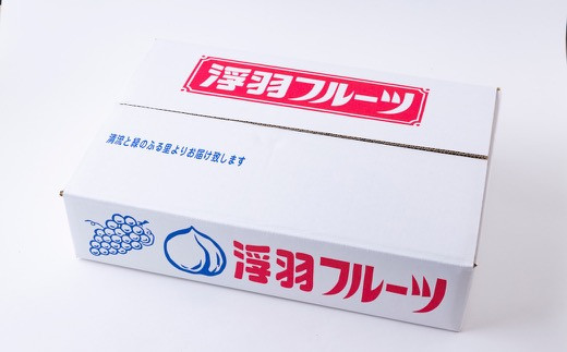 鈴木農園 特撰甘果逸品 富有柿 13玉から15玉(2Lから3Lｻｲｽﾞ) 2024年11月15日から12月5日 出荷予定