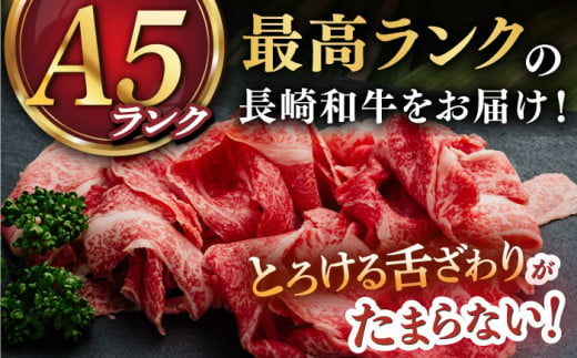 【12/22入金まで年内発送】【 A5ランク 】 長崎和牛 切り落とし 800g 《小値賀町》【有限会社肉の相川】 [DAR031] 肉 牛肉 和牛 A5 こま切れ 小間切れ 黒毛和牛 贅沢 あいかわ