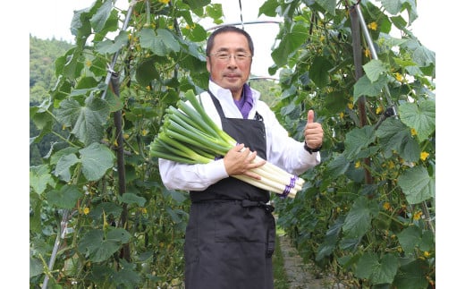 遠野ふるさと野菜便と亜麻豚のセット