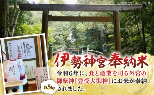 昼生産 食べ比べ コシヒカリ・にじのきらめき・あきたこまち 各5kg袋 亀山市/ファーム松尾 米 お米 送料無料 [AMBM003]