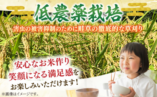 昼生産 食べ比べ コシヒカリ・にじのきらめき・あきたこまち 各5kg袋 亀山市/ファーム松尾 米 お米 送料無料 [AMBM003]