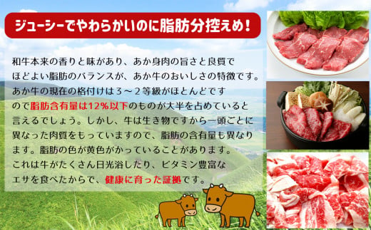 【定期便3回】 肥後の赤牛　焼肉用 500g | 熊本県 熊本 くまもと 和水町 なごみ 牛肉 黒毛和牛 黒毛 くまもと黒毛和牛 肥後 焼肉 500g 定期便 定期 3回