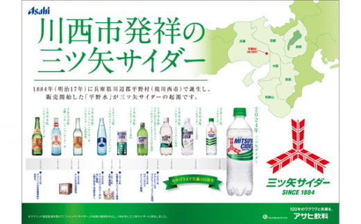 No.387 三ツ矢サイダー缶250ml 60本（30本入×2ケース） ／ 炭酸 飲料 缶 こだわり 歴史 発祥の地