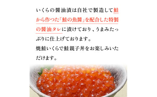 110160001 佐藤水産の新巻鮭半身姿切身(2分割)といくら醤油漬｜ふるさと納税 石狩市 北海道 イクラ醤油漬け イクラ醤油漬 魚卵 新巻き鮭 荒巻鮭