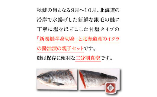 110160001 佐藤水産の新巻鮭半身姿切身(2分割)といくら醤油漬｜ふるさと納税 石狩市 北海道 イクラ醤油漬け イクラ醤油漬 魚卵 新巻き鮭 荒巻鮭