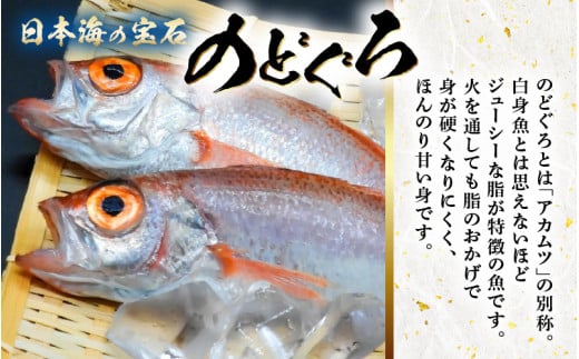 越前 あわら『のどぐろ 柿の葉寿司』1本 6貫入《取り分けしやすい・お手軽・美味しいと大人気！》／ おすし 柿の葉 [aw050-a004]