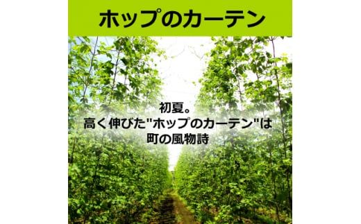 ＜2021年収穫軽米町産ホップ使用＞「サッポロ生ビール黒ラベル東北ホップ100%」350ml缶72本【1258945】