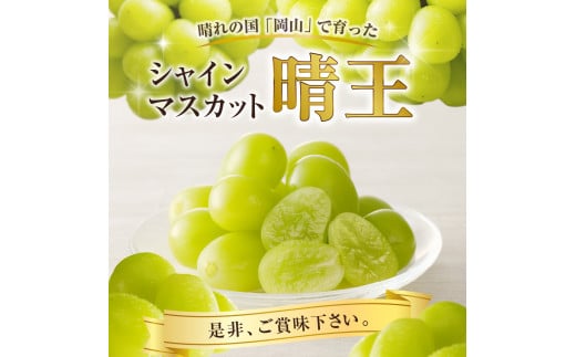 【2025年発送分 先行受付スタート！】岡山県産シャインマスカット「晴王」　秀品　大房　（約2kg・2～5房程度）（令和７年8月中旬以降発送）