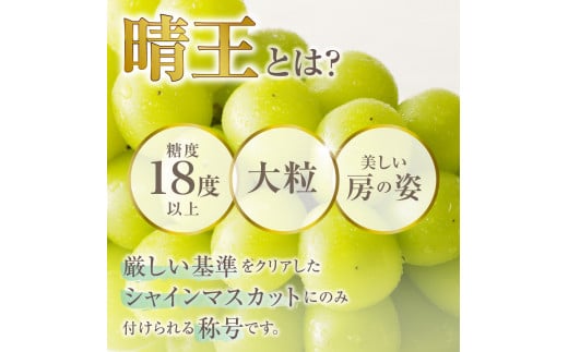 【2025年発送分 先行受付スタート！】岡山県産シャインマスカット「晴王」　秀品　大房　（約2kg・2～5房程度）（令和７年8月中旬以降発送）