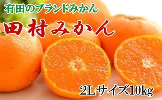 【ブランドみかん】田村みかん約10kg（2Lサイズ）★2024年11月下旬頃より順次発送【TM108】