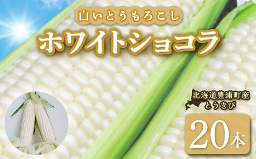 【2025年8月以降発送】ホワイトショコラ　白いとうもろこし 20本 北海道 豊浦町産 とうきび 【ふるさと納税 人気 おすすめ ランキング 野菜 その他野菜 とうもろこし トウモロコシ 国産 ホワイト ショコラ 白い とうきび おいしい 美味しい 北海道 豊浦町 送料無料】 TYUH003