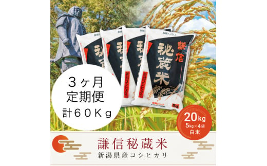 定期便3ヶ月連続発送（20kg×3回分）20kg 米 新潟県産 コシヒカリ  精白米 謙信秘蔵米  お米  こめ コメ おこめ おすすめ こしひかり 新潟 にいがた 新潟米 上越 上越産 上越米 ふるさと納税 定期便 人気