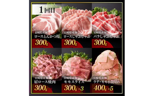 【訳あり定期便】宮崎県産豚肉 お楽しみセット6ヶ月定期便【 ロース とんかつ 豚バラ しゃぶしゃぶ 生姜焼き 小間切れ 豚 肉 豚肉 ミヤチク 全6回 】