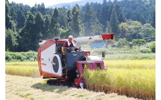 ◆特別栽培米 コシヒカリ  光男さんのお米 玄米  10kg×2袋