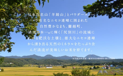 【7ヶ月定期便】らんこし米食べ比べ (ななつぼし・ゆめぴりか) 各2kg