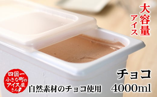 【四国一小さなまちのアイス屋さん】≪松崎冷菓≫大容量アイス 4000ml ★チョコ★  4l アイスクリーム スイーツ デザート おすすめ 美味しい 高知県 田野町