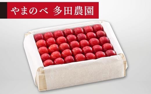 【特選佐藤錦】桐箱詰 約500g【やまのべ多田耕太郎のさくらんぼ 多田農園】