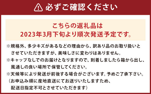 訳あり 長崎 不知火 約5kg 2023年3月下旬より順次発送