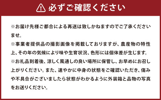 訳あり 長崎 不知火 約5kg 2023年3月下旬より順次発送