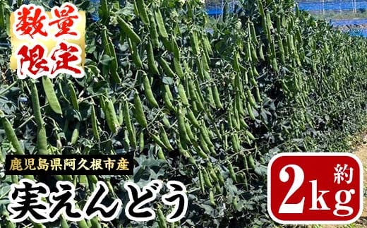 阿久根市産実えんどう2kg！