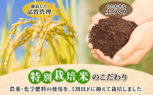 北海道 特別栽培 令和6年産 ななつぼし 2kg 精米 米 白米 お米 新米 ごはん ご飯 ライス 道産米 ブランド米 新しのつ米 ふっくら 食味ランキング  産地直送 お取り寄せ カワサキ森田屋 送料無料 