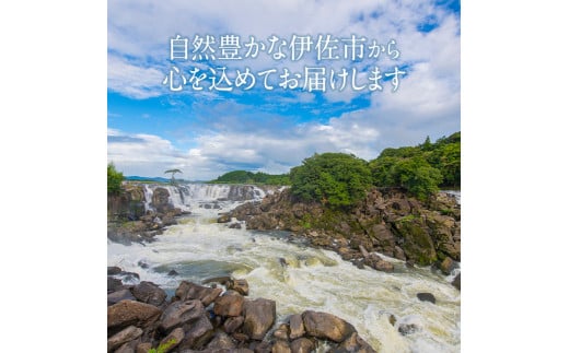 isa426 野草滋養餃子「母の手」(計45個・15個×3P) ふるさと納税 伊佐市 特産品 ギョーザ ぎょうざ 鹿児島 手作り ギョウザ 豚肉 冷凍食品 おかず おつまみ 惣菜 小分け 焼くだけ 簡単調理 冷凍便【やさしいまち】