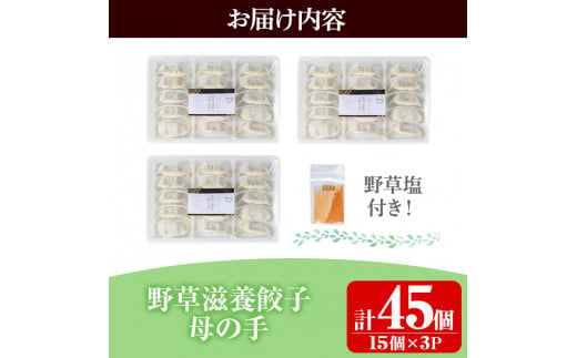 isa426 野草滋養餃子「母の手」(計45個・15個×3P) ふるさと納税 伊佐市 特産品 ギョーザ ぎょうざ 鹿児島 手作り ギョウザ 豚肉 冷凍食品 おかず おつまみ 惣菜 小分け 焼くだけ 簡単調理 冷凍便【やさしいまち】