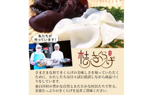 プレミアム！杜のきくらげづくしセット 国産 東白川村産 食物繊維 生きくらげ きくらげ 白きくらげ 白いきくらげ 乾燥きくらげ キクラゲ 木耳 佃煮 きくらげパウダー 22000円