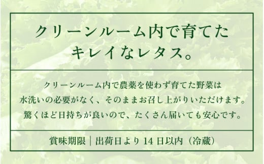 【訳あり】低カリウムレタス 500g 不揃い クリーンルーム栽培 鮮度長持ち 【野菜 生野菜 レタス サラダ 水耕栽培 洗わず食べられる 時短 付け合わせ 規格外】[m40-a013]