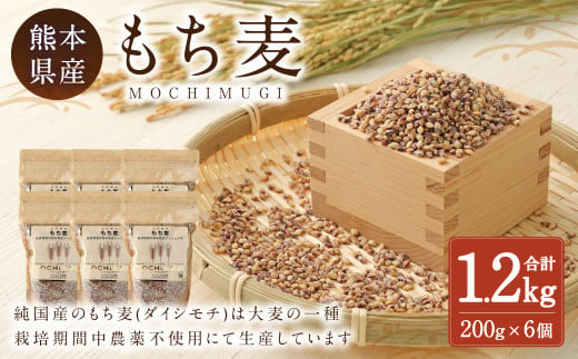 もち麦 計1.2kg（200g×6） 水俣市 もち麦工房