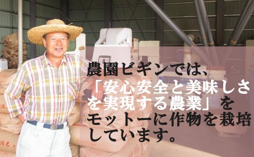 N14P133 【令和6年産 新米予約】昔ながらの魚沼産コシヒカリ2㎏×3袋（合計6㎏）【従来品種】 農園ビギン 早期受付 2024年10月中旬から発送開始